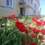 Весна в деревне Глебовское
